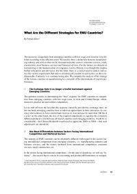 What Are the Different Strategies for EMU Countries?