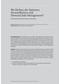 Wo bleiben die Optionen Stromeffizienz und Demand Side Management