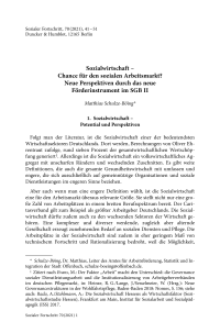 Sozialwirtschaft – Chance für den sozialen Arbeitsmarkt? Neue Perspektiven durch das neue Förderinstrument im SGB II