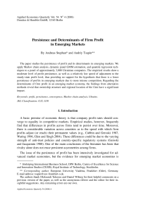 Persistence and Determinants of Firm Profit in Emerging Markets