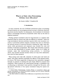 What is at Stake when Determining Lifetime Asset Allocation?