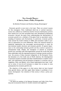 New Growth Theory: A Survey from a Policy Perspective