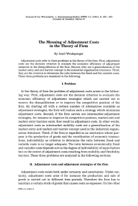 The Meaning of Adjustment Costs in the Theory of Firm