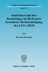 Sanktionen und ihre Rechtsfolgen im BGB unter besonderer Berücksichtigung des § 241 a BGB