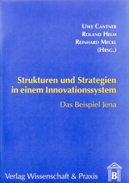 Strukturen und Strategien in einem Innovationssystem Strukturen und Strategien in einem Innovationssystem